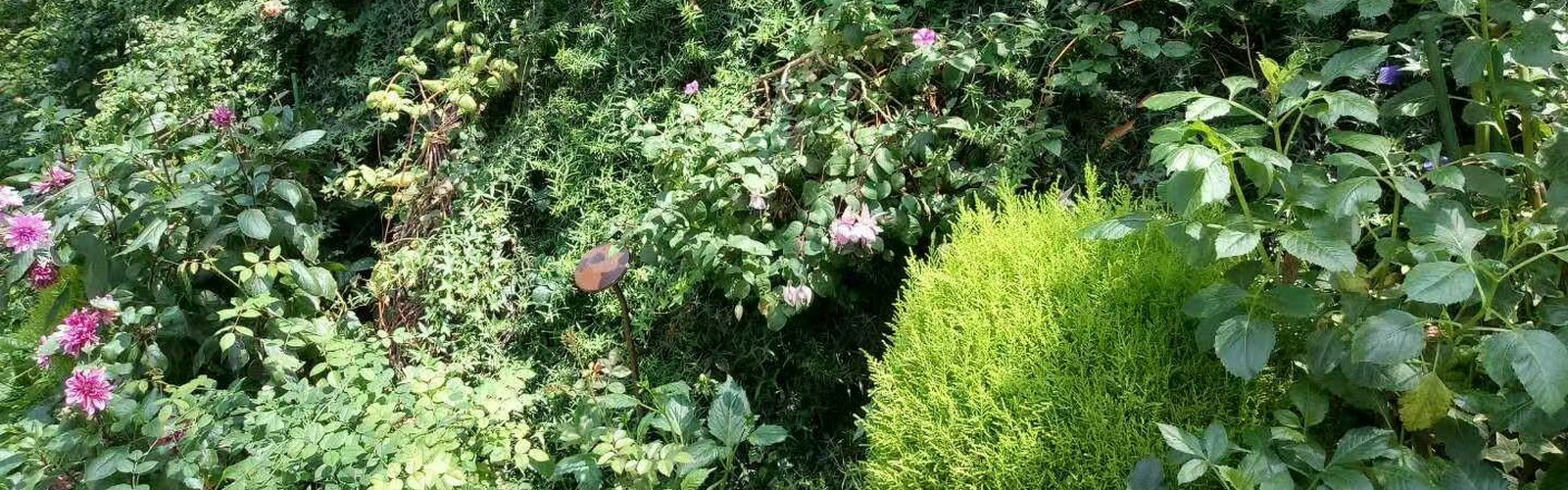 FAUX PLANTS